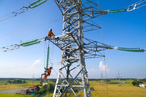 50 năm Tổng công ty Điện lực miền Nam: Tri ân lịch sử - Tự hào tiếp bước