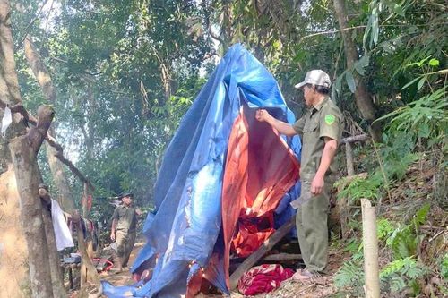 Truy quét và phá hủy nhiều máy móc của 'vàng tặc' ở rừng đặc dụng Vĩnh Ô