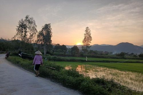 Bóng nội đượm mùi đất quê...