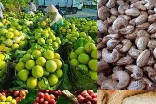 Mở lối kinh doanh cho doanh nghiệp Việt tại Chile và khu vực Nam Mỹ