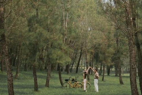 Lạc bước giữa rừng thông cổ ở lăng Gia Long