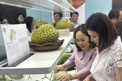 Tôn vinh 'Tinh hoa trái cây Việt' thúc đẩy tiêu dùng nội địa