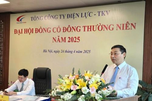 Vượt sóng thị trường: Điện lực TKV báo lãi hơn 750 tỷ