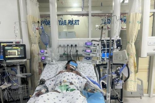 Cứu sống thành công trường hợp trẻ sốc sốt xuất huyết, rối loạn đông máu nặng