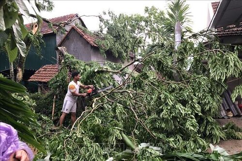 Mưa lớn kèm dông, lốc, mưa đá gây thiệt hại nghiêm trọng tại nhiều tỉnh thành