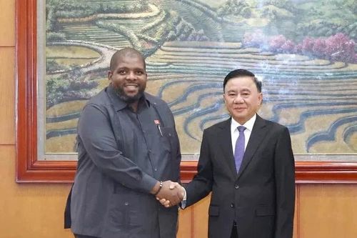 Thường trực Ban Bí thư Trần Cẩm Tú hội đàm với Tổng thư ký Đảng FRELIMO Chakil Aboobacar