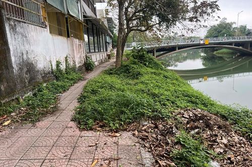 Cần để mắt giữ gìn sông An Cựu