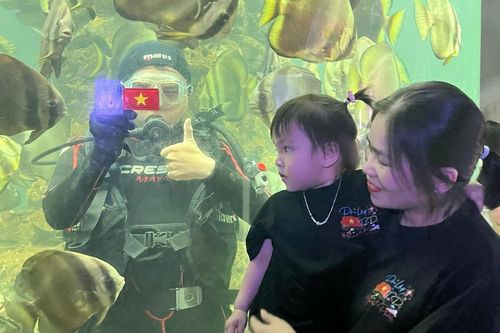 Bảo tàng Hải dương học hút khách tham quan