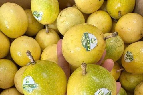 Nghị định thư mới cho nông sản Việt Nam: Kỳ vọng đột phá