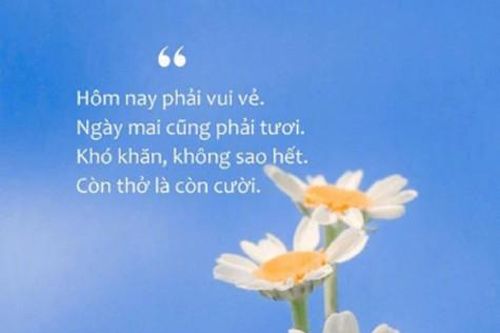 Nếu một ngày bạn mệt mỏi…
