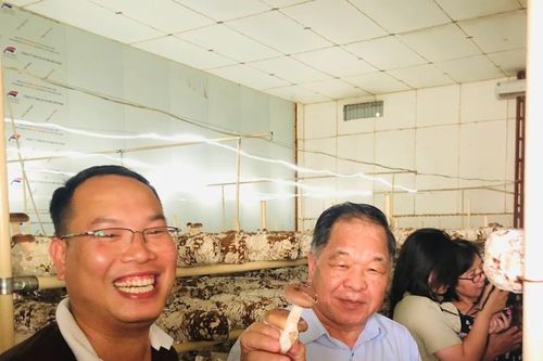 Sản xuất nông nghiệp hữu cơ: Còn lắm những gian nan