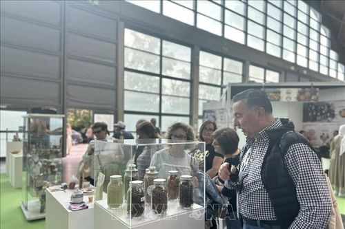 Quảng bá hiệu quả 'Vườn trái cây Việt Nam' tại Hội chợ trái cây Macfrut 2025