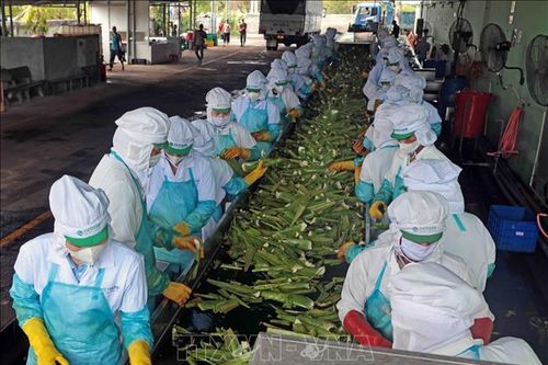 Kiến nghị thành lập Tổ công tác đặc biệt rà soát các điều kiện kinh doanh