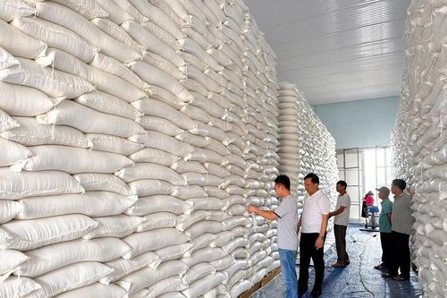 Xuất cấp hơn 668 tấn gạo dự trữ quốc gia hỗ trợ 3 địa phương