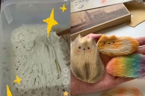 'Nuôi' đồ vô tri để giảm stress