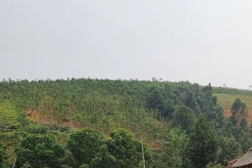 Bài cuối: Xây dựng các mô hình kinh tế thích ứng với thiên tai