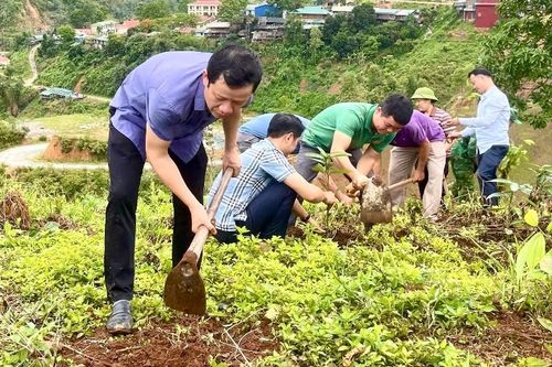 Mường Tè trồng 500 cây xanh hưởng ứng 'Tết trồng cây đời đời nhớ ơn Bác Hồ'