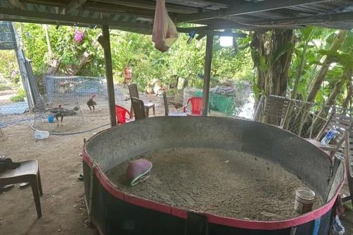Triệt phá điểm đá gà có hàng trăm 'con bạc' tham gia