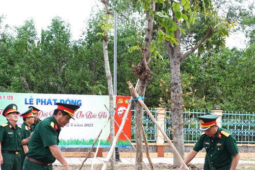 Bệnh viện Quân y 120: Hưởng ứng chương trình trồng 1 tỷ cây xanh