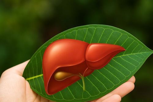 5 việc đơn giản giúp gan khỏe mạnh, hỗ trợ đào thải độc tố mỗi ngày