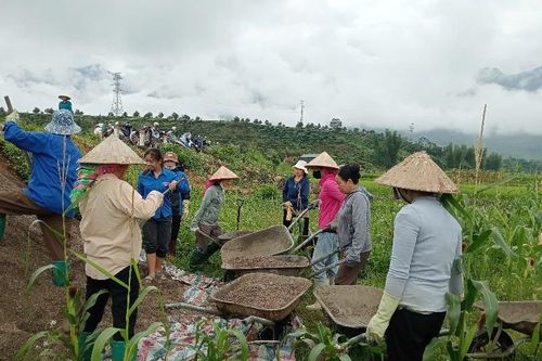 Sức mạnh của đoàn kết và sự quyết tâm