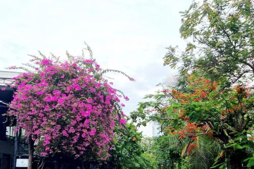 Thức dậy cùng thành phố