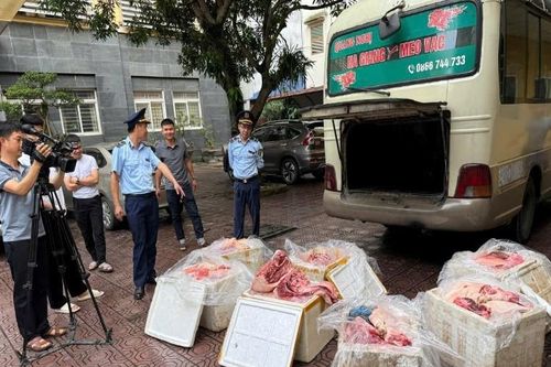 Hà Giang tiêu hủy 450 kg thịt lợn thối được giấu trên ô tô