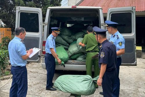 Cao Bằng: Phát hiện, thu giữ gần 1,4 tấn nguyên liệu thuốc lá không rõ nguồn gốc xuất xứ