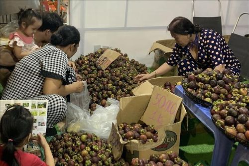 Lễ hội mùa trái chín 2025 có thể tạm dừng vì thời tiết không thuận lợi