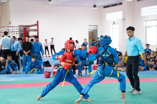 Võ thuật Vovinam phát triển