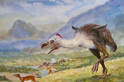 Sự thật loài chim 'khủng bố' đáng sợ nhất từng tồn tại