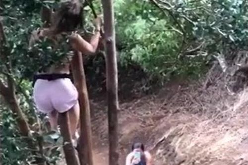CLIP: Bị lợn rừng truy đuổi, cô gái làm ra hành động gây 'sốc'