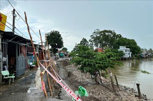 Liên tiếp xảy ra sạt lở bờ sông, kênh rạch tại An Giang