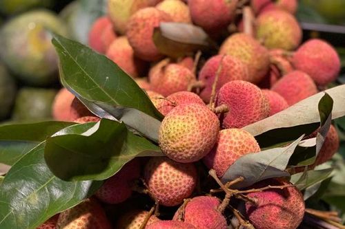 Vải u đầu mùa giá cao chót vót nhưng vẫn đắt khách tìm mua
