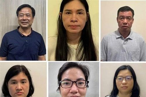 Bắt thêm 5 bị can liên quan tới Công ty Hoàng Long