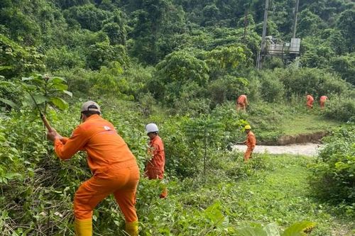 Công ty Thủy điện Sơn La: Chủ động hưởng ứng tuần lễ Quốc gia phòng, chống thiên tai năm 2025