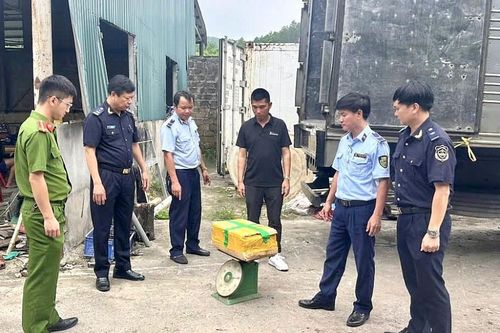 Hải quan tham gia phát hiện gần 25,5 tấn mực, sách bò, chân gà bốc mùi tại Móng Cái