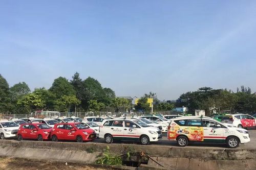 TPHCM: Thu hồi gần 3.600m2 đất của Cảng vụ Hàng không Việt Nam