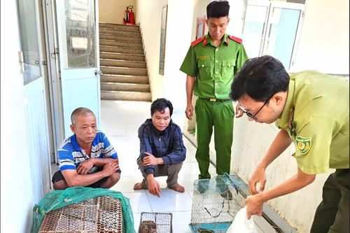 Quan tâm công tác quản lý nuôi nhốt, kinh doanh động vật hoang dã