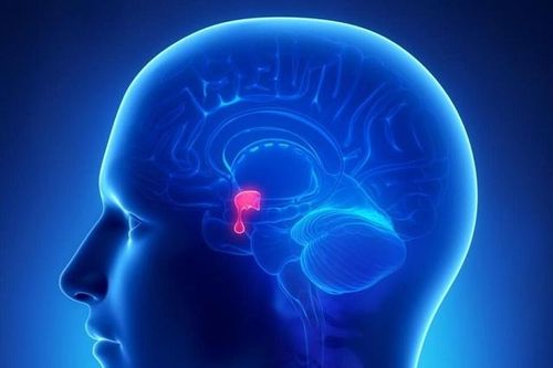 Người phụ nữ 61 tuổi ở Thanh Hóa bất ngờ phát hiện u tuyến yên từ dấu hiệu nhiều người Việt mắc phải