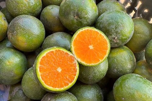 Cam Sen là cam gì, giá siêu rẻ, chỉ vài nghìn đồng/kg?