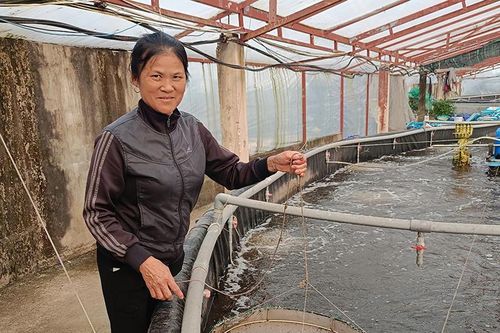'Chắp cánh' cho những ý tưởng, dự án khởi nghiệp do phụ nữ làm chủ