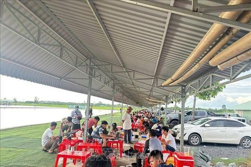 Truy tố, tạm giữ hình sự các đối tượng buôn lậu, đánh bạc