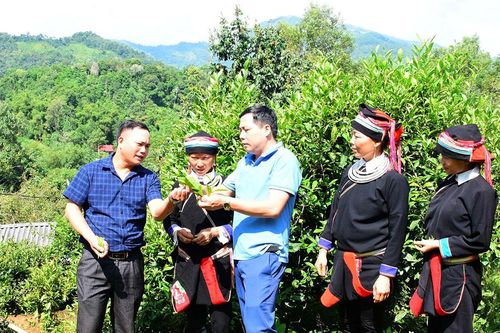 Xứng đáng là 'con nòi' của Nhân dân