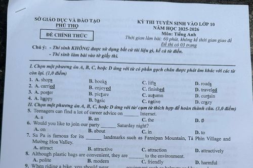 Gợi ý đáp án môn Tiếng Anh vào lớp 10 THPT