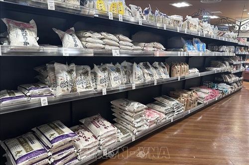 Chuỗi cửa hàng tiện lợi Nhật Bản bắt đầu bán gạo dự trữ của Chính phủ