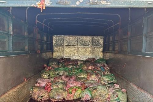 Rùng mình phát hiện hàng tấn nội tạng biến chất đang chờ tuồn ra thị trường