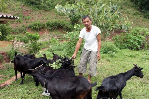Phát huy vai trò tuổi cao gương sáng