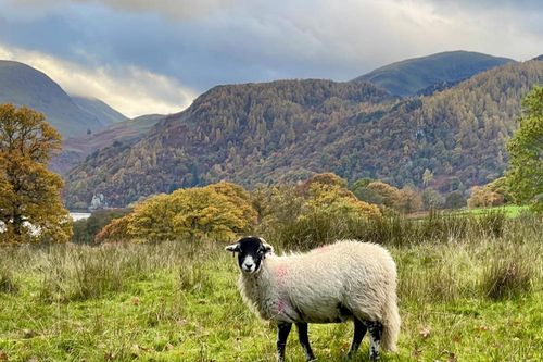 UNESCO bị kêu gọi xem xét lại danh hiệu Di sản thế giới Lake District