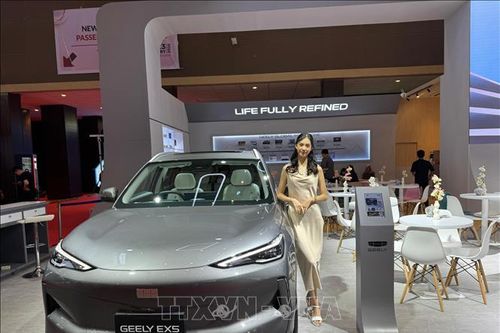 Chủ tịch Geely: Ngành ô tô toàn cầu đang dư thừa nghiêm trọng
